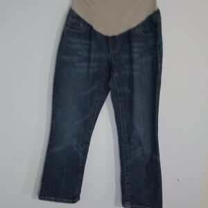 Indigo Blue Women's Straight Leg Jeans - Dark Denim